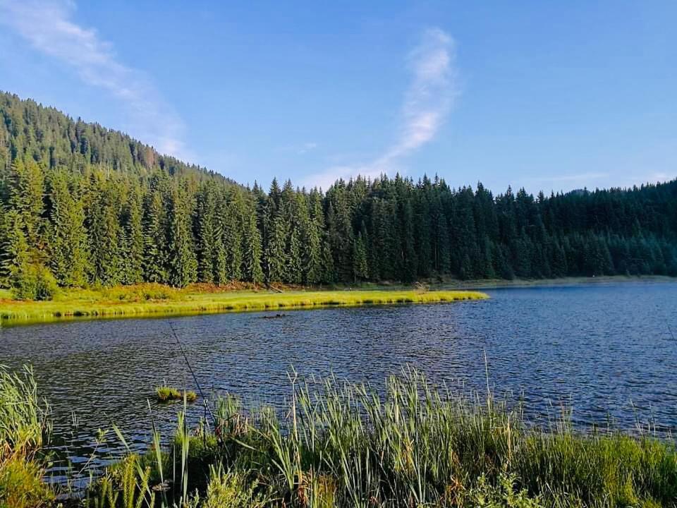 Deer Lake 521 At Oak Residence Hotel & Relax Смолян Екстериор снимка